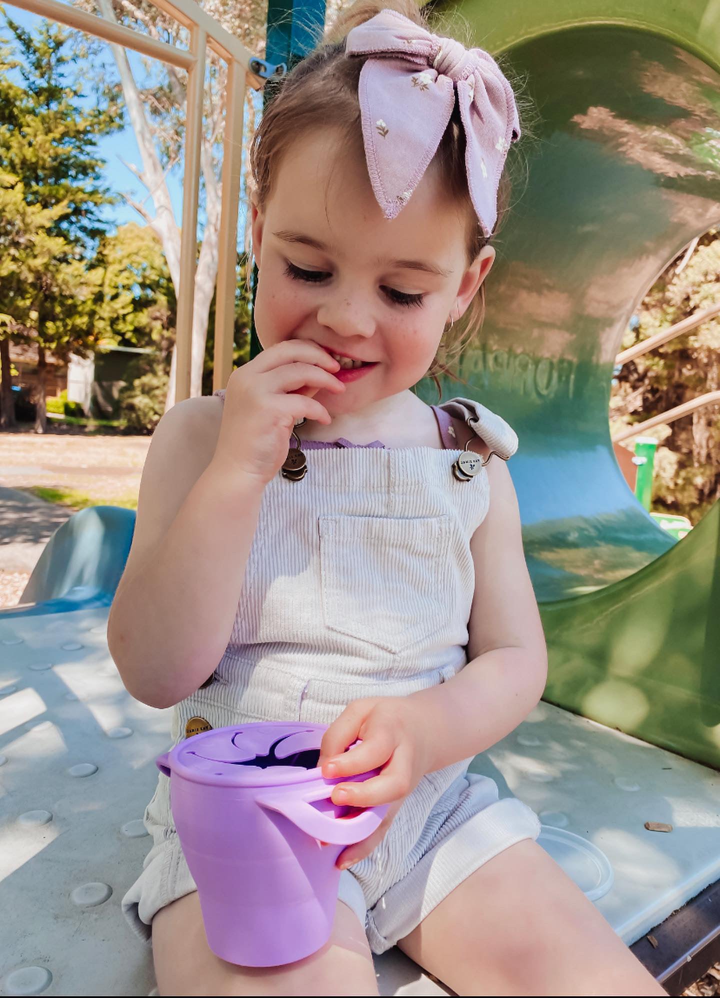 Non-Spill Snack Cup